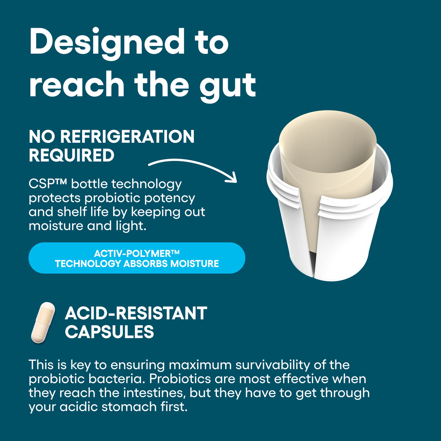 Gut Guardian Bundle